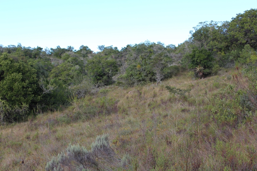 1 Bedroom Property for Sale in Bathurst Rural Eastern Cape
